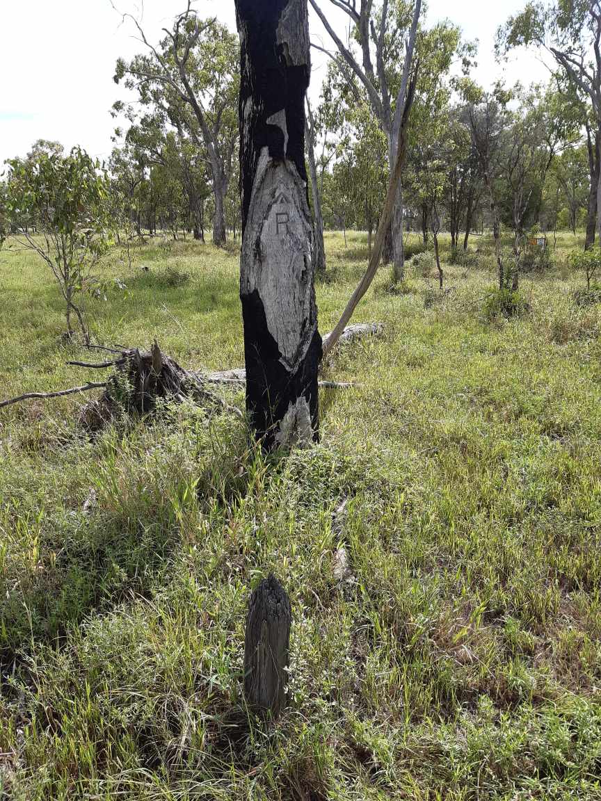 Gallery image 16